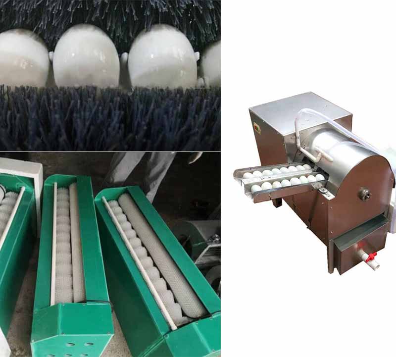 washing roller brush