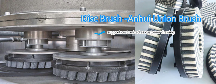 Disc Brush